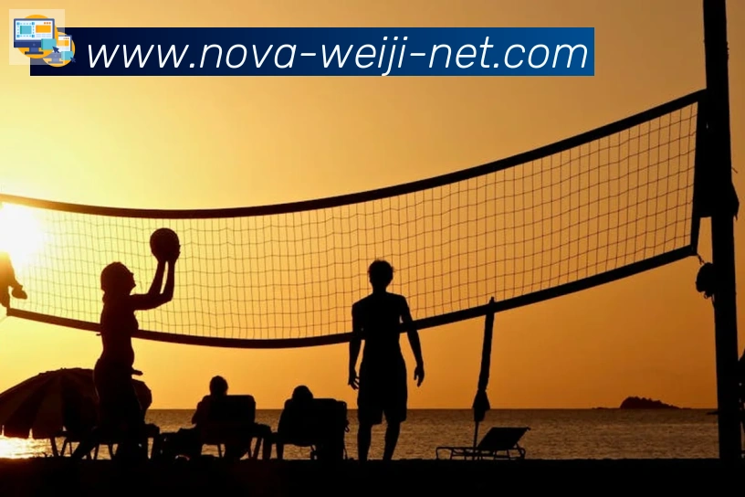 维基体育荣誉